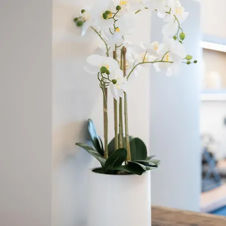 Smaro Terrablue Apartmán *