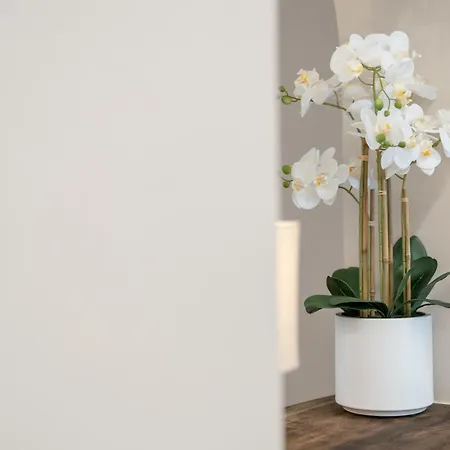 Apartmán Smaro Terrablue Kos